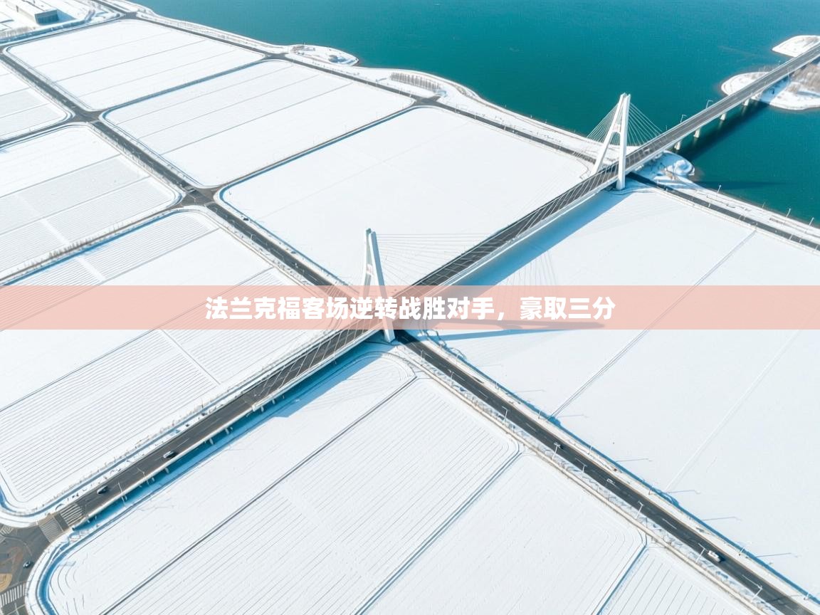 法兰克福客场逆转战胜对手，豪取三分  第1张