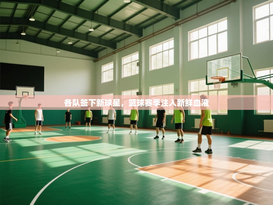 各队签下新球星，篮球赛季注入新鲜血液  第1张